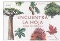 ENCUENTRA LA HOJA:UN JUEGO DE MEMORIA | 8425402405833 | Librería Castillón - Comprar libros online Aragón, Barbastro