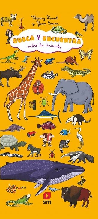 Busca y encuentra entre los animales | 9788413181745 | Laval, Thierry | Librería Castillón - Comprar libros online Aragón, Barbastro