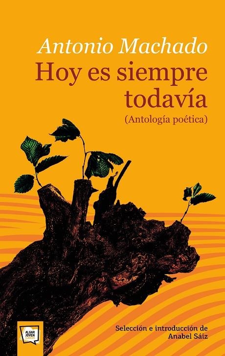 Hoy es siempre todavía (antología poética) | 9788491423768 | MACHADO, ANTONIO | Librería Castillón - Comprar libros online Aragón, Barbastro