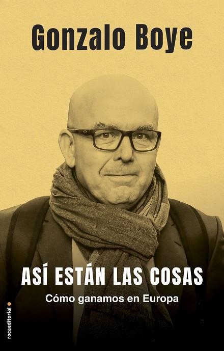 Así están las cosas | 9788417805777 | Gonzalo Boye | Librería Castillón - Comprar libros online Aragón, Barbastro