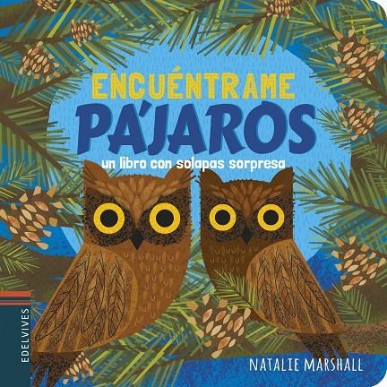 Pájaros | 9788414025154 | Marshall, Natalie | Librería Castillón - Comprar libros online Aragón, Barbastro