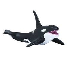 FIGURA CRIA DE ORCA | 4892900886183 | Librería Castillón - Comprar libros online Aragón, Barbastro