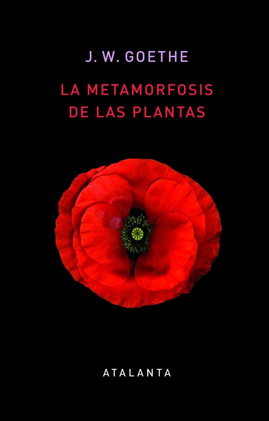 La metamorfosis de las plantas | 9788412074345 | Goethe, Johann Wolfgang | Librería Castillón - Comprar libros online Aragón, Barbastro