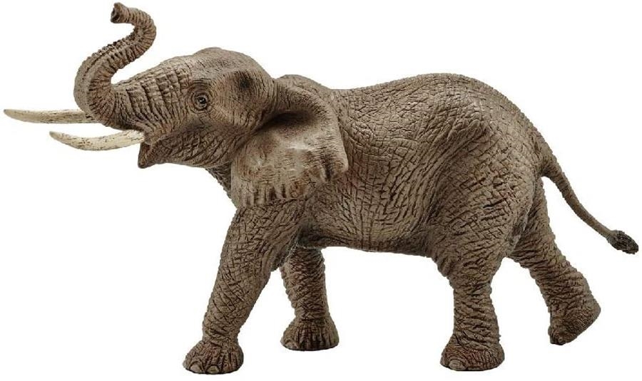 FIGURA ELEFANTE AFRICANO MACHO  SCHELEICH | 4005086147621 | Librería Castillón - Comprar libros online Aragón, Barbastro