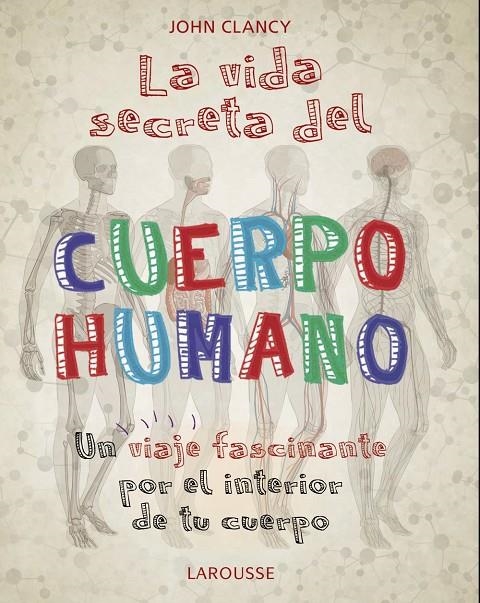 La vida secreta del cuerpo humano | 9788418100468 | Clancy, John | Librería Castillón - Comprar libros online Aragón, Barbastro