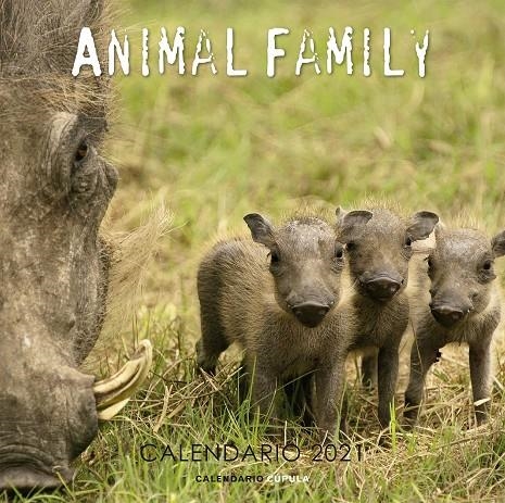 Calendario pared Animal family 2021 | 9788448027643 | VV.AA. | Librería Castillón - Comprar libros online Aragón, Barbastro