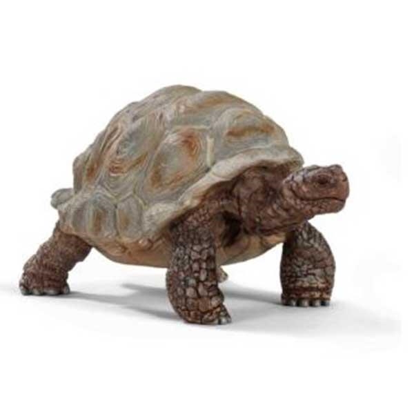 FIGURA TORTUGA GIGANTE SCHLEICH | 4055744033667 | Librería Castillón - Comprar libros online Aragón, Barbastro