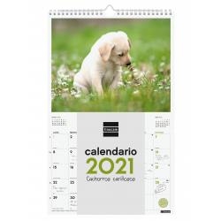 CALENDARIO 2021 PARED FINOCAM 25x40 CACHORROS CARIÑOSOS | 8422952304340 | Librería Castillón - Comprar libros online Aragón, Barbastro