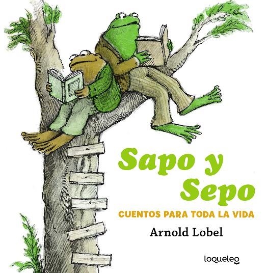 Sapo y Sepo. Cuentos para toda la vida | 9788491223825 | Lobel, Arnold | Librería Castillón - Comprar libros online Aragón, Barbastro