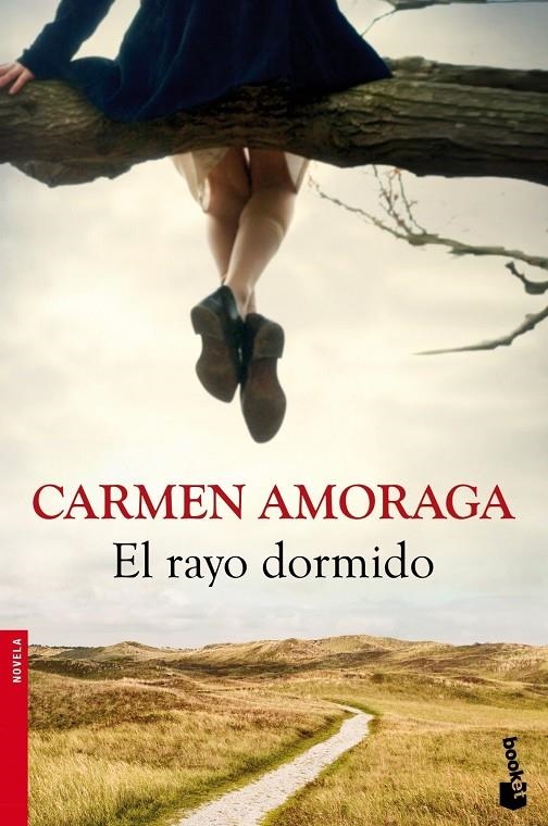 El rayo dormido | 9788423346714 | Amoraga, Carmen | Librería Castillón - Comprar libros online Aragón, Barbastro