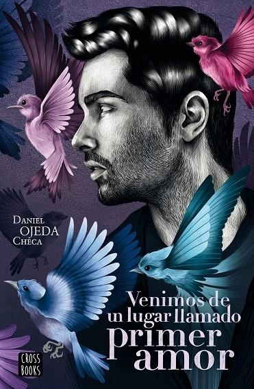 Venimos de un lugar llamado primer amor | 9788408224877 | Ojeda Checa, Daniel | Librería Castillón - Comprar libros online Aragón, Barbastro