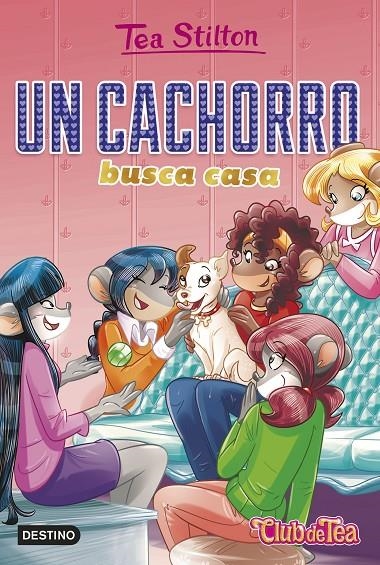 Un cachorro busca casa | 9788408231226 | Stilton, Tea | Librería Castillón - Comprar libros online Aragón, Barbastro