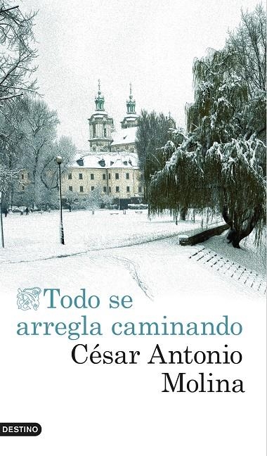 Todo se arregla caminando | 9788423350797 | Molina, César Antonio | Librería Castillón - Comprar libros online Aragón, Barbastro