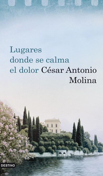 Lugares donde se calma el dolor | 9788423341894 | Molina, César Antonio | Librería Castillón - Comprar libros online Aragón, Barbastro