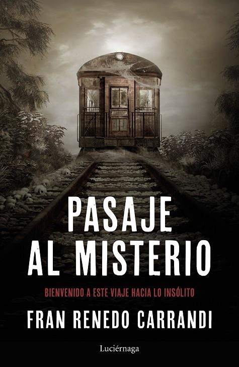 Pasaje al misterio | 9788417371241 | Renedo, Francisco | Librería Castillón - Comprar libros online Aragón, Barbastro