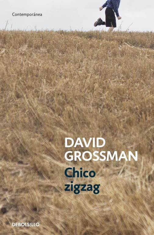 Chico zigzag | 9788499894805 | David Grossman | Librería Castillón - Comprar libros online Aragón, Barbastro