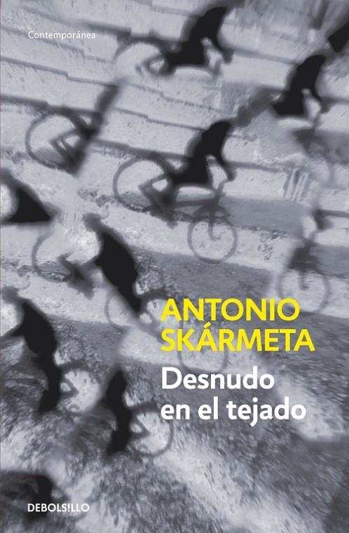 Desnudo en el tejado | 9788497931205 | Antonio Skármeta | Librería Castillón - Comprar libros online Aragón, Barbastro