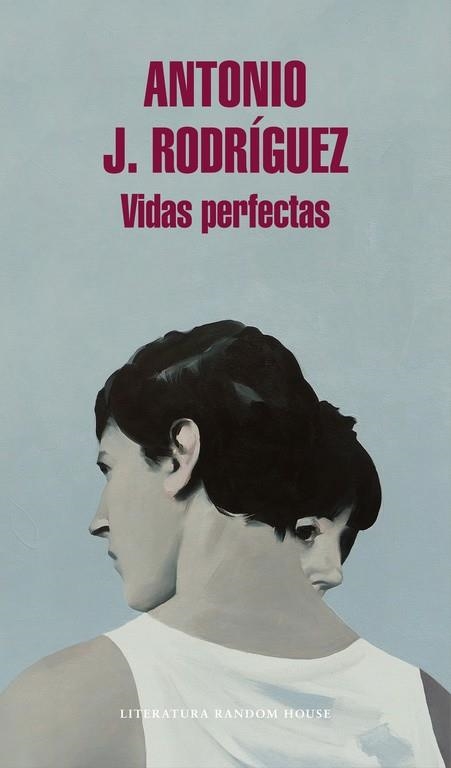 Vidas perfectas | 9788439732891 | Antonio J. Rodríguez | Librería Castillón - Comprar libros online Aragón, Barbastro