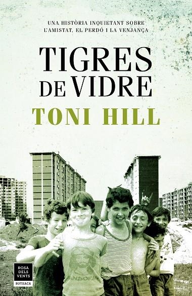 Tigres de vidre | 9788417444747 | Hill, Toni | Librería Castillón - Comprar libros online Aragón, Barbastro