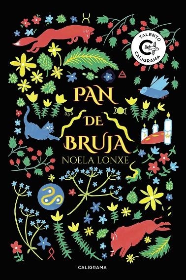 Pan de Bruja | 9788417813437 | Lonxe, Noela | Librería Castillón - Comprar libros online Aragón, Barbastro