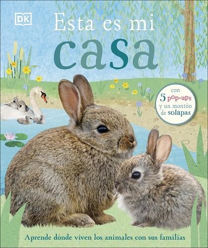 Esta es mi casa | 9780241469255 | DK | Librería Castillón - Comprar libros online Aragón, Barbastro