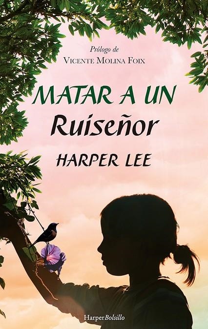 Matar a un ruiseñor | 9788417216948 | Lee, Harper | Librería Castillón - Comprar libros online Aragón, Barbastro