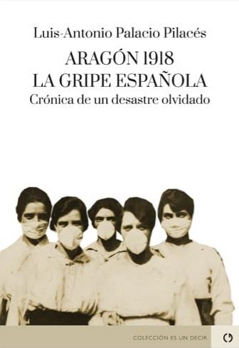 Aragón 1918. La gripe española. Crónica de un desastre olvidado | 9788416565894 | Palacio Pilacés, Luis Antonio | Librería Castillón - Comprar libros online Aragón, Barbastro