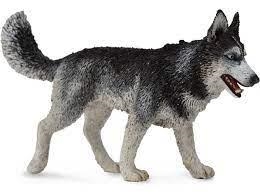 FIGURA COMANSI  HASKY SIBERIANO | 4892900887074 | Librería Castillón - Comprar libros online Aragón, Barbastro