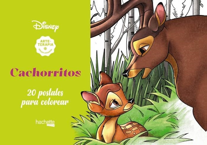 Arteterapia. Cachorritos Disney | 9788417586560 | VV.AA. | Librería Castillón - Comprar libros online Aragón, Barbastro