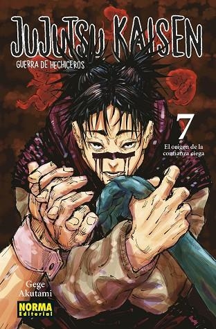 Jujutsu kaisen 7 | 9788467945140 | Gege Akutami | Librería Castillón - Comprar libros online Aragón, Barbastro