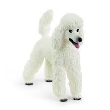 FIGURA CANICHE SCHLEICH | 4059433320786 | Librería Castillón - Comprar libros online Aragón, Barbastro