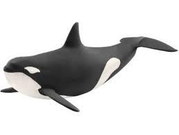 FIGURA BALLENA ORCA SCHLEICH | 4055744020759 | Librería Castillón - Comprar libros online Aragón, Barbastro