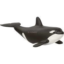 FIGURA  CRIA BALLENA ORCA SCHLEICH | 4059433013947 | Librería Castillón - Comprar libros online Aragón, Barbastro