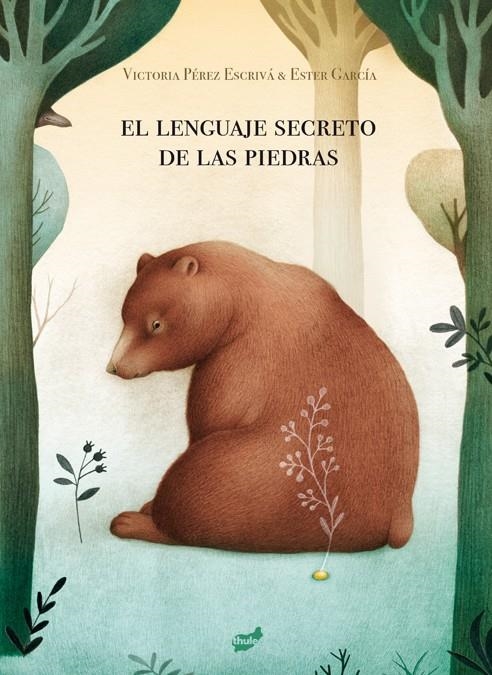 El lenguaje secreto de las piedras | 9788418702006 | Pérez Escrivá, Victoria | Librería Castillón - Comprar libros online Aragón, Barbastro