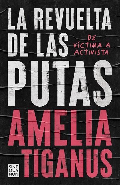 La revuelta de las putas | 9788466668859 | Amelia Tiganus | Librería Castillón - Comprar libros online Aragón, Barbastro