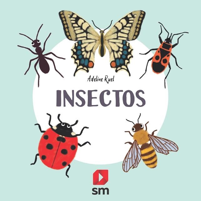 INSECTOS | 9788413188591 | Ruel, Adeline | Librería Castillón - Comprar libros online Aragón, Barbastro