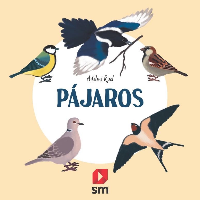 PÁJAROS | 9788413188607 | Ruel, Adeline | Librería Castillón - Comprar libros online Aragón, Barbastro