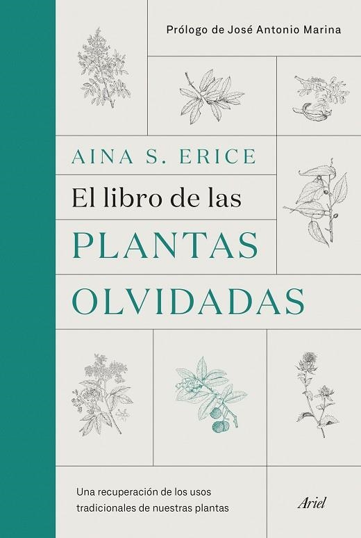 El libro de las plantas olvidadas | 9788434431461 | S. Erice, Aina | Librería Castillón - Comprar libros online Aragón, Barbastro