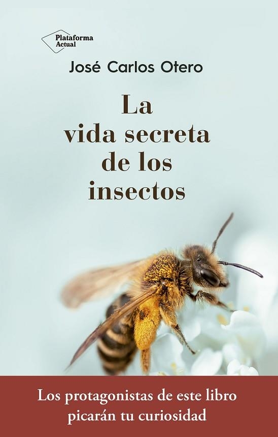 La vida secreta de los insectos | 9788417376789 | Otero González, José Carlos | Librería Castillón - Comprar libros online Aragón, Barbastro