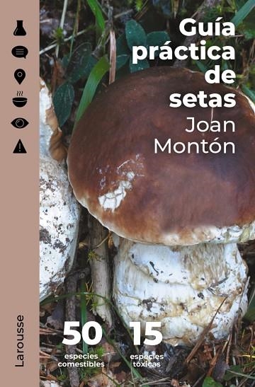 Guía práctica de setas | 9788418473845 | Montón Martínez, Joan | Librería Castillón - Comprar libros online Aragón, Barbastro