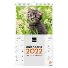 CALENDARIO 2022 PARED FINOCAM ESPIRAL 25 X 40 CM CON FOTO GATITOS+ | 8422952324560 | Librería Castillón - Comprar libros online Aragón, Barbastro