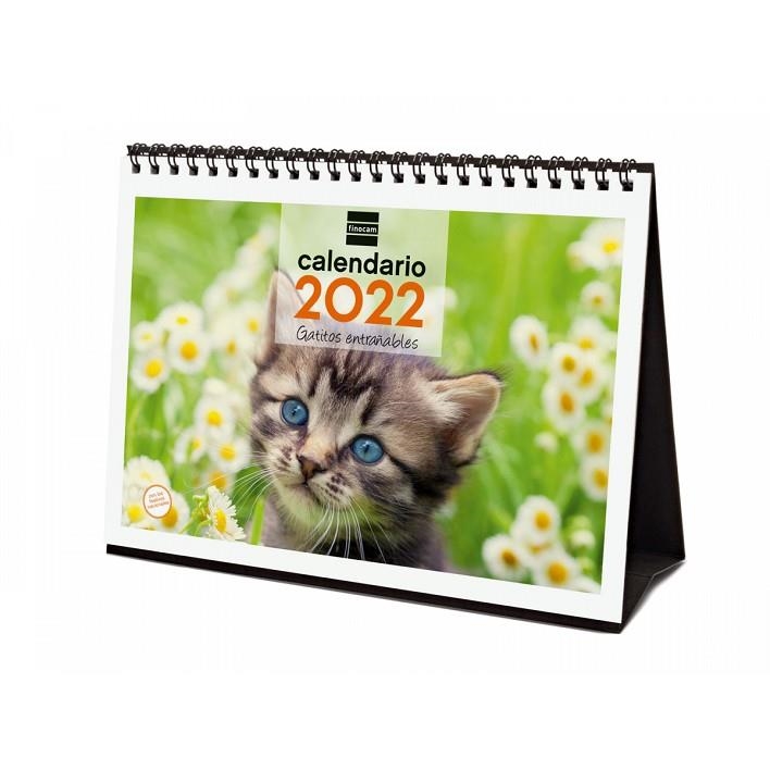 CALENDARIO 2022 SOBREMESA FINOCAM ESPIRAL 210X150 MM CON FOTO GATITOS+ | 8422952324683 | Librería Castillón - Comprar libros online Aragón, Barbastro