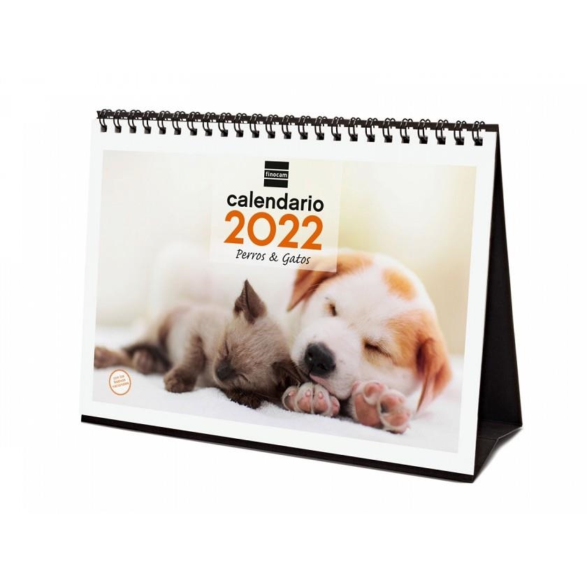 CALENDARIO 2022 SOBREMESA FINOCAM ESPIRAL 210X150 MM CON FOTO PERROS Y GATOS+ | 8422952324676 | Librería Castillón - Comprar libros online Aragón, Barbastro