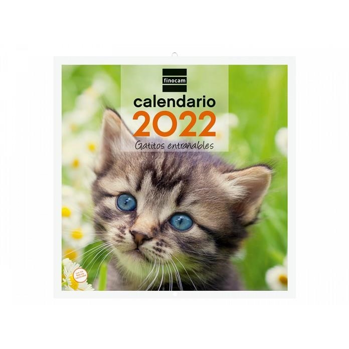 CALENDARIO 2022 PARED FINOCAM 30X30 CM CON FOTO GATITOS+ | 8422952320715 | Librería Castillón - Comprar libros online Aragón, Barbastro