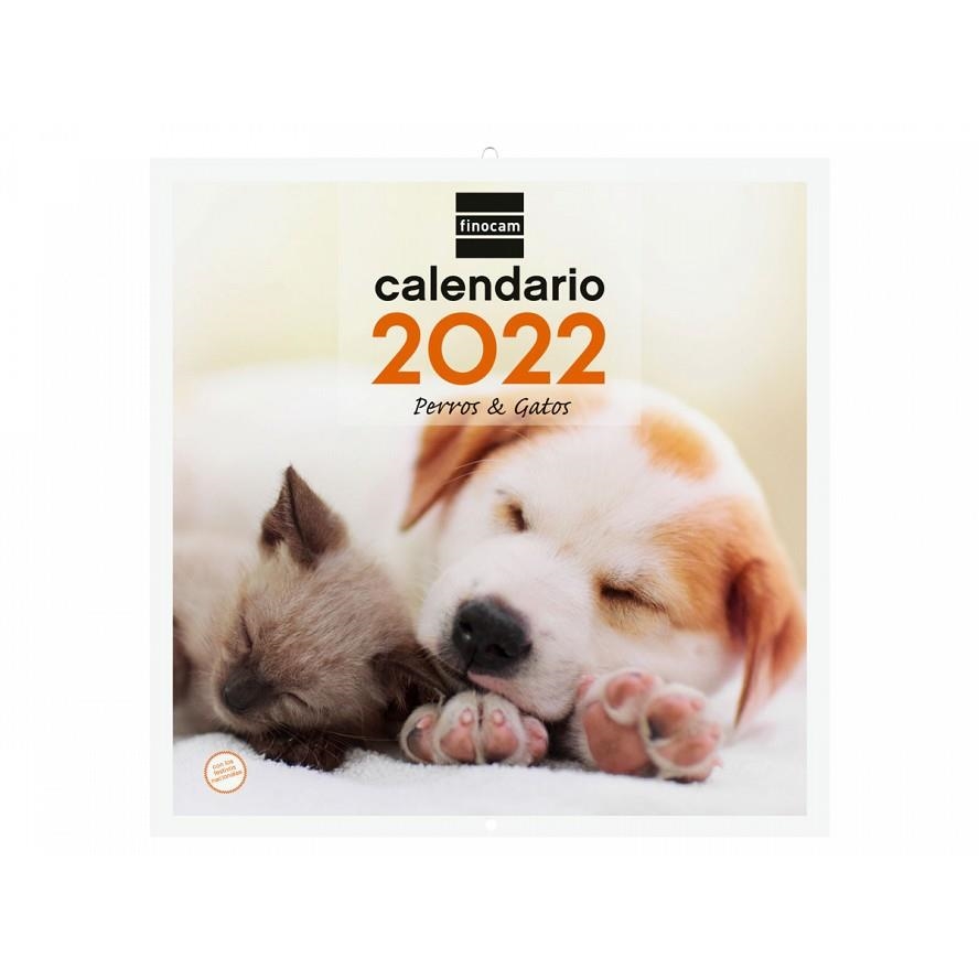 CALENDARIO 2022 PARED FINOCAM 30X30 CM CON FOTO PERROS Y GATOS+ | 8422952320708 | Librería Castillón - Comprar libros online Aragón, Barbastro