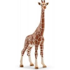 FIGURA JIRAFA HEMBRA SCHLEICH | 4005086147508 | Librería Castillón - Comprar libros online Aragón, Barbastro