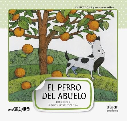 El perro del abuelo | 9788498454062 | Enric Lluch | Librería Castillón - Comprar libros online Aragón, Barbastro