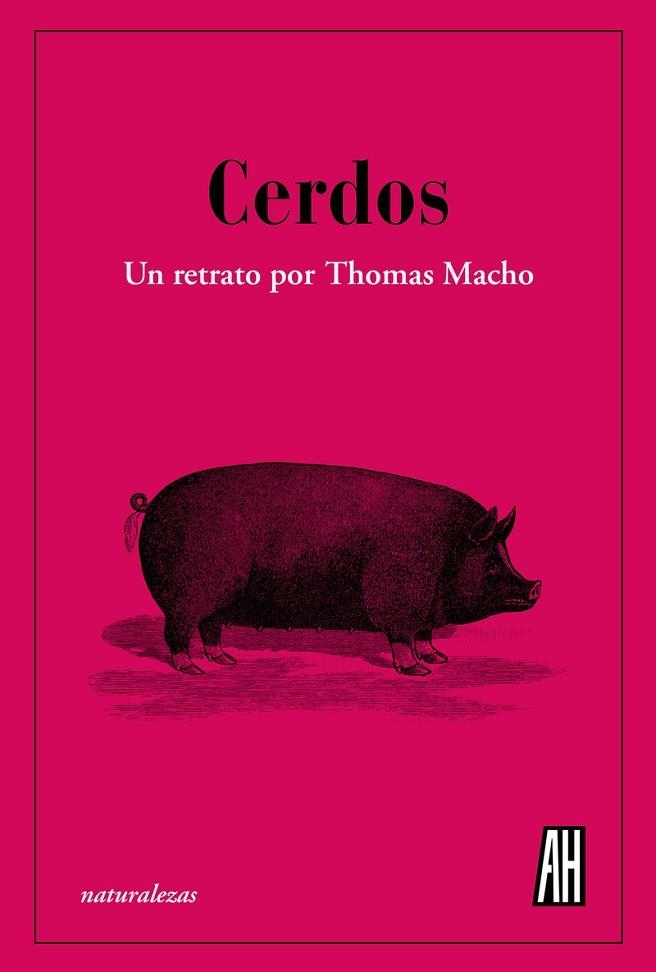 Cerdos | 9788412403398 | Macho, Thomas | Librería Castillón - Comprar libros online Aragón, Barbastro