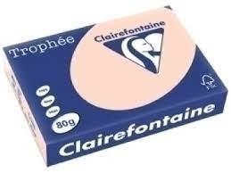 PAPEL COLOR S4 CLAIREFONTAINE 80GR 500H PASTEL SALMON | 3329680176902 | Librería Castillón - Comprar libros online Aragón, Barbastro