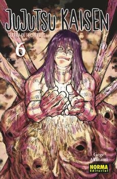 JUJUTSU KAISEN 06 | 9788467944204 | AKUTAMI, GEGE | Librería Castillón - Comprar libros online Aragón, Barbastro